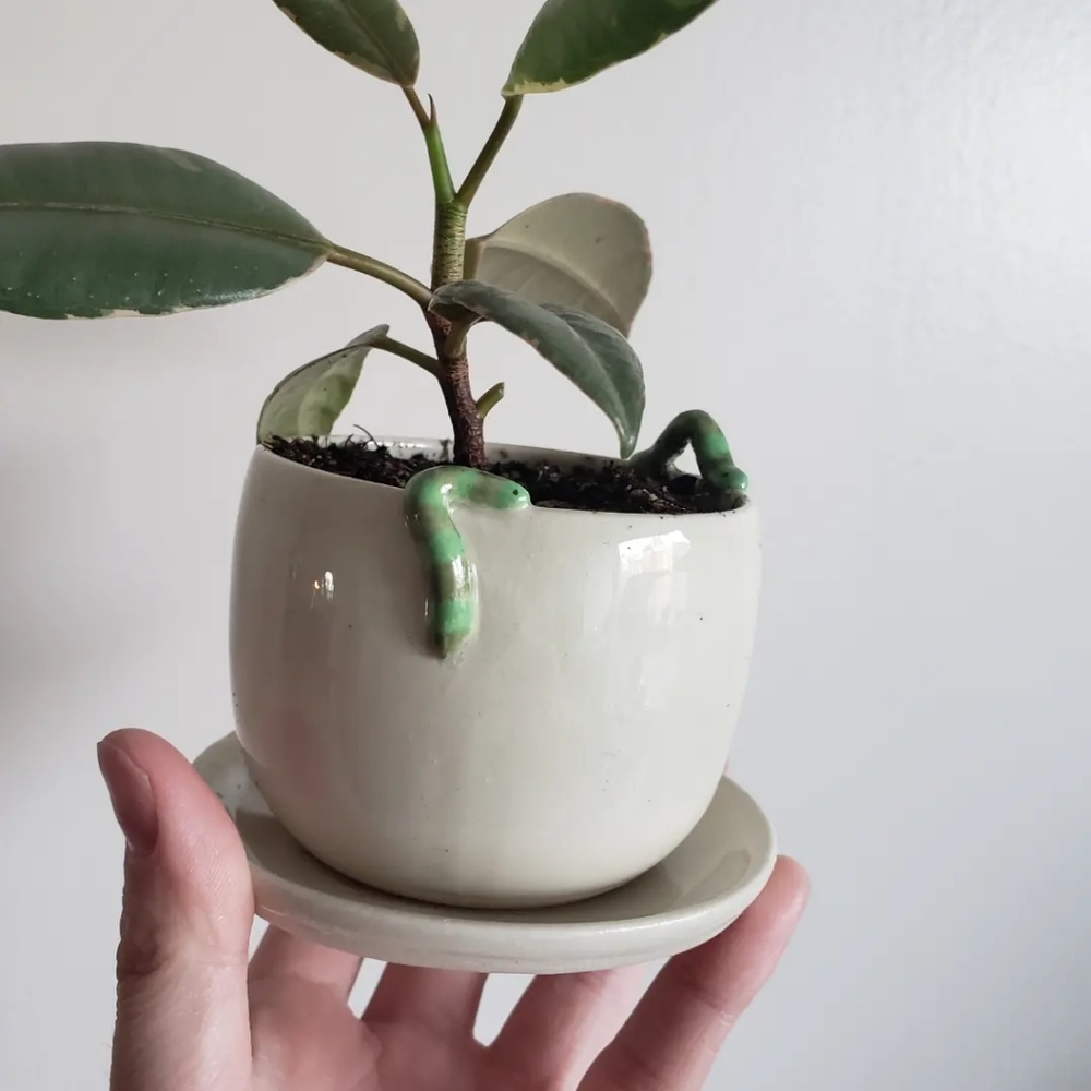 Inchworm flowerpot